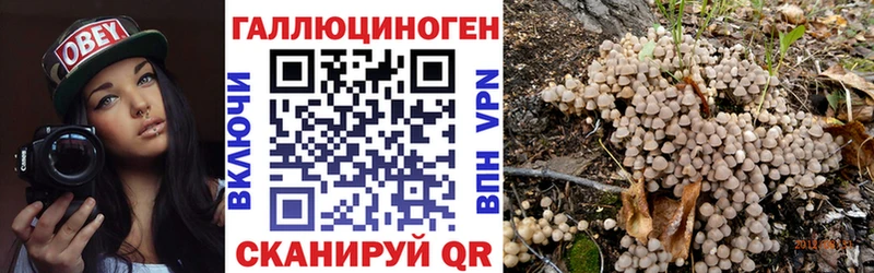 Галлюциногенные грибы Psilocybe  Янаул 