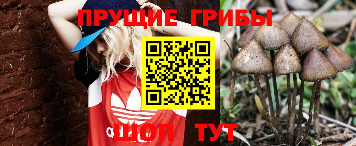 Псилоцибиновые грибы прущие грибы  Псилоцибиновые грибы Magic Shrooms  где купить наркоту  Вход с VPN  Янаул 